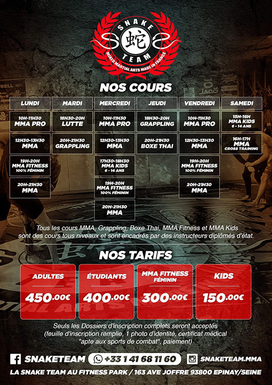 snake team cours mma