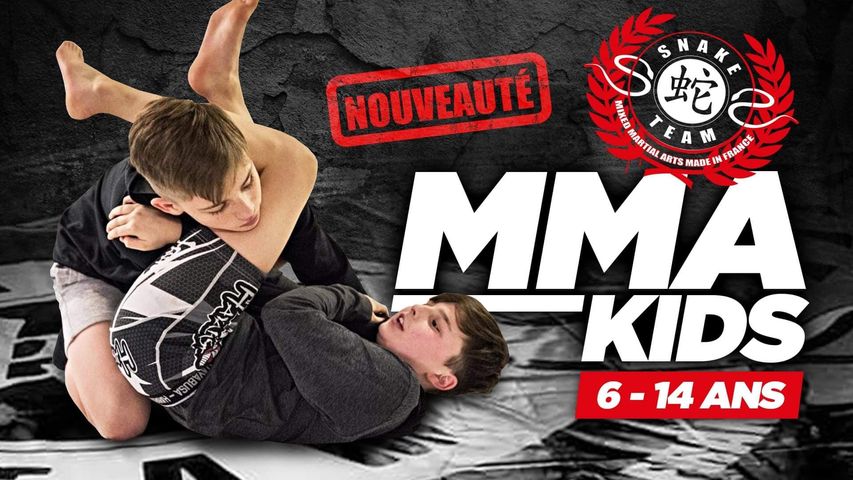 snake team cours mma